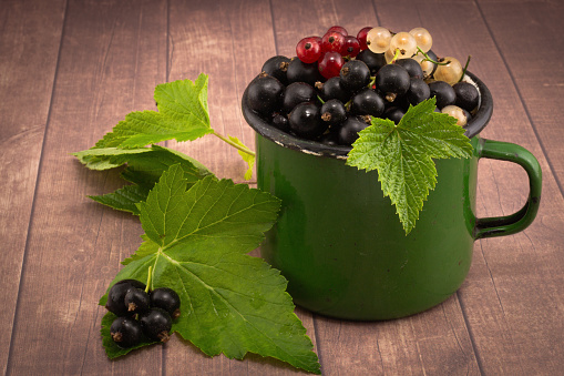 Full green enameled mug of black currant berries with green current leaves on wooden table. Rustic still life with freshness currants berries