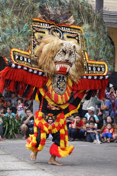 city of surabaya, state of indonesia. march 15, 2015. reog ponorogo dancers are dancing with a lion's head decorated with peacock feathers. reog ponorogo is a traditional indonesian dance. - female stripper imagens e fotografias de stock
