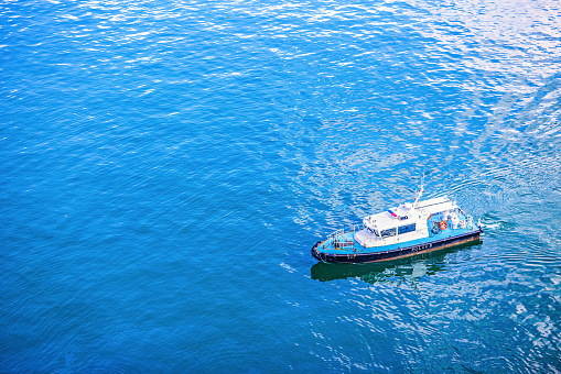 A shrimp cutter with lifted fishnets and a flock of seagulls in the evening sun