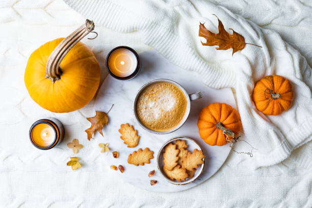 커피, 쿠키, 호박 및 양모 니트 격자무늬 한 잔으로 아늑한 휴가 배경. 따뜻한 가을 분위기 플랫 레이.  침대에서 아침 식사 - pumpkin latté coffee spice 뉴스 사진 이미지