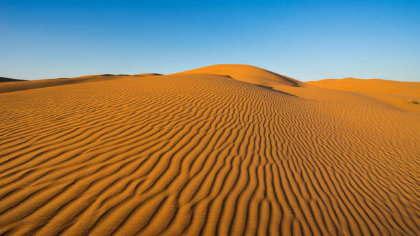 plane desert with texture at sunset - gobi desert imagens e fotografias de stock