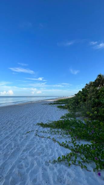 istock BEAUTIFUL MORNING ON THE BEACH 1420195901