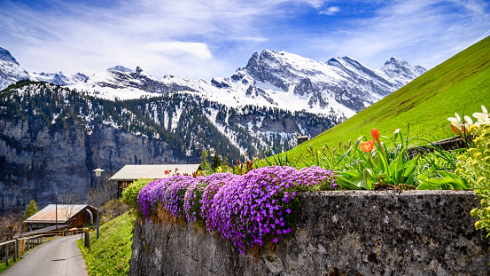 Spring motifs of the Jungfrau region in the canton of Bern, Switzerland