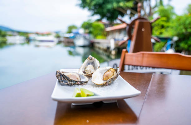 Big Oysters in a plate with salt and lemon