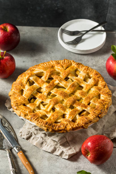 istock Homemade Sweet American Apple Pie 1420203630
