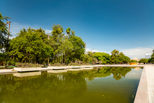 Lake in the middle of park with tree area in a sunny day