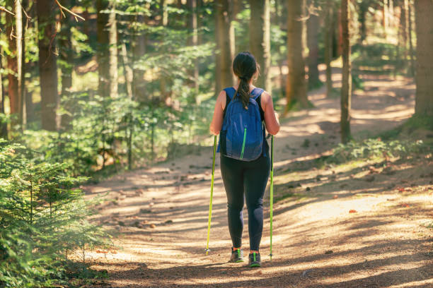 istock Woman walking along a forest path, while the sun's rays break through the trees. Carries a backpack, and hiking poles 1420205697