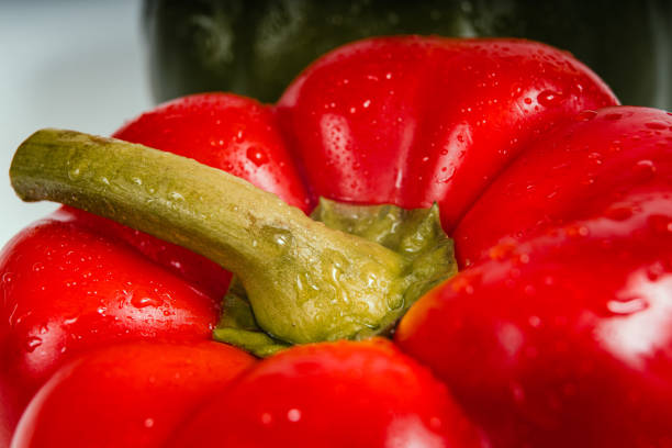 Fresh Red / Green / Yellow Capsicum isolated in extendable plain background with ample copy space and macro detailing