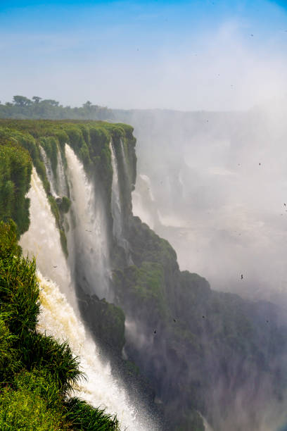 iguaçu falls devil's throat waterfall, foz do iguaçu, parana, brazil - tropical rainforest waterfall rainbow iguacu falls - fotografias e filmes do acervo