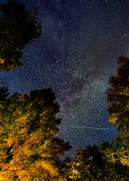 The starry sky through the trees, the milky way between the treetops illuminates the path in the forest. The starry sky is slightly hazy. A fantastic combination of the eternal and the transitory.
