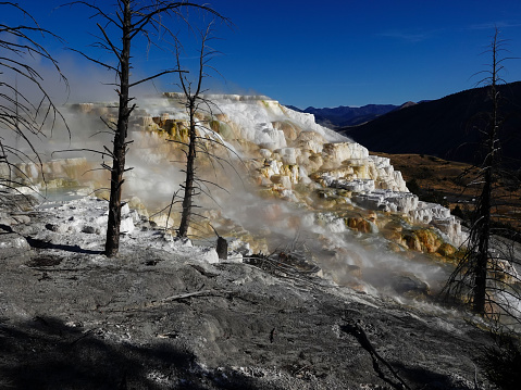 View of Mammoth Hot Springs from high on the terraces.