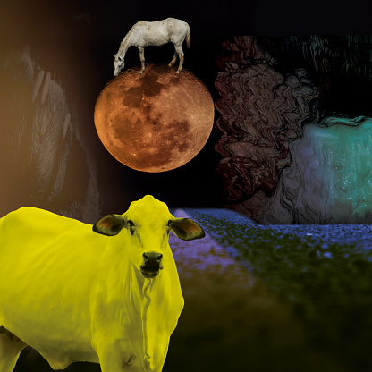 Beautiful collage art featuring a psychedelic yellow cow world where a white horse walks over the red moon. Unique and Creative collage artwork