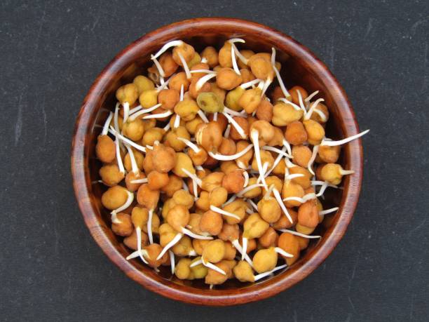 istock chickpeas sprouts in a wooden bowl top view 1420222974