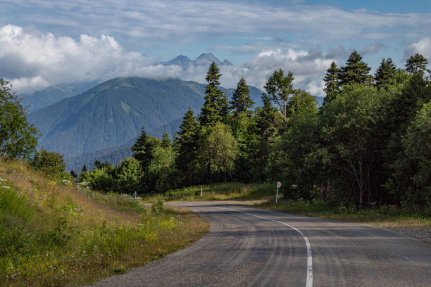 istock Asphalt road leading to the mountains 1420225241