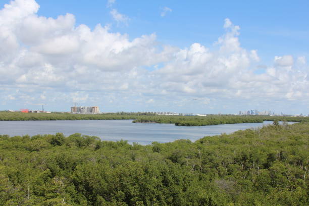 istock wide high shot of a lake view 1420227138