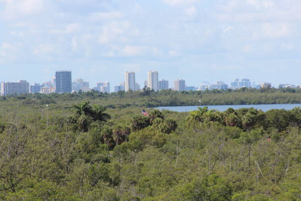istock wide high shot of a lake view 1420227379