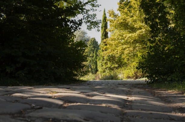 Paved alley in a public park