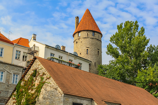 Stolting Tower - Tallinn