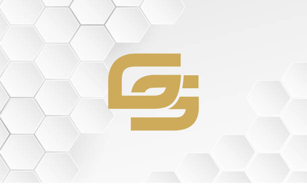 istock Alphabet Letters GS or SG  business logo template for any business 1420231869
