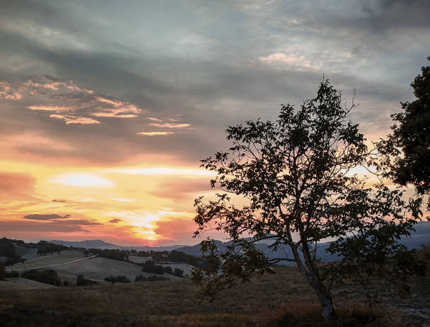 istock Country landscapes 1420237204