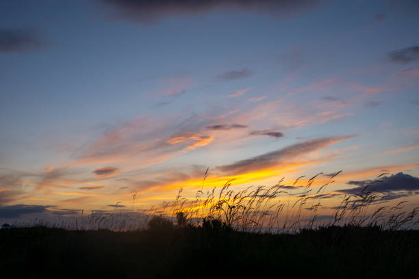 istock Autumn Sunset through blades of grass 1420241095