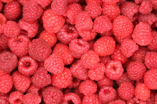 Macro shot of delicious freshly picked juicy pink raspberries taken from above
