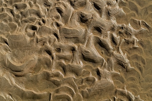 San Francisco bay mud and silt at low tide. An abstract of the wave pattern across the brown silt and mud at low tide.