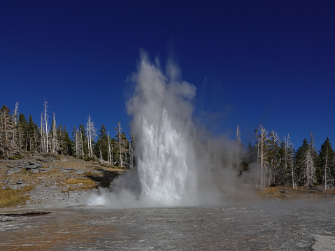 Erupting Grand Geyser, Upper Geyser Basin, Yellowstone National Park.