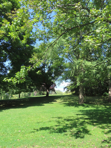 istock Center Island Landscape 1420250625