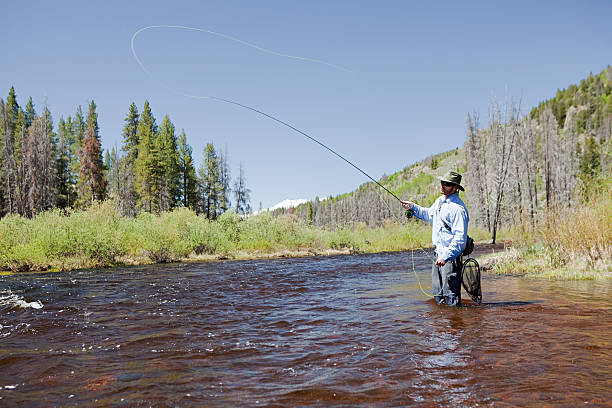 man fly fishing in river, colorado, usa - vail eagle county colorado stockfoto's en -beelden