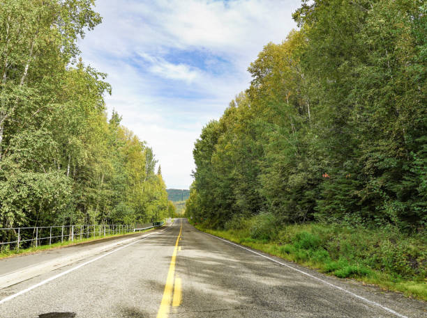 istock Highway through Birch Tree Woodland in Alaska, USA 1420266376