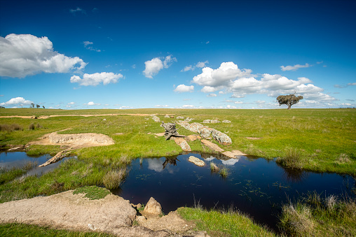 Rural dam on farmland in Central Victoria