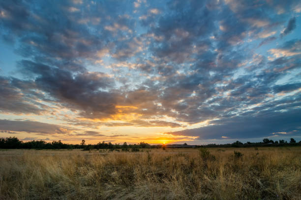 istock Majestic summer sunset with colorful clouds and sunrays 1420306013
