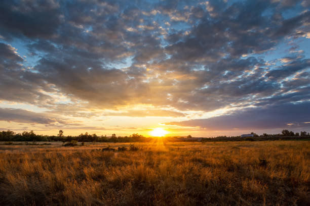 istock Majestic summer sunset with colorful clouds and sunrays 1420306303