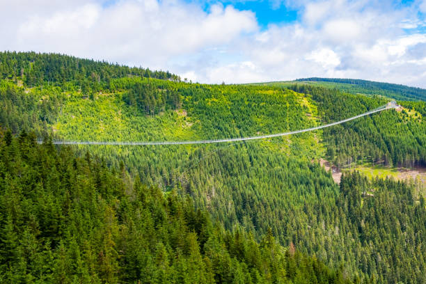 istock Sky Bridge 721 is the longest suspension bridge between two hills in the forest 1420308045