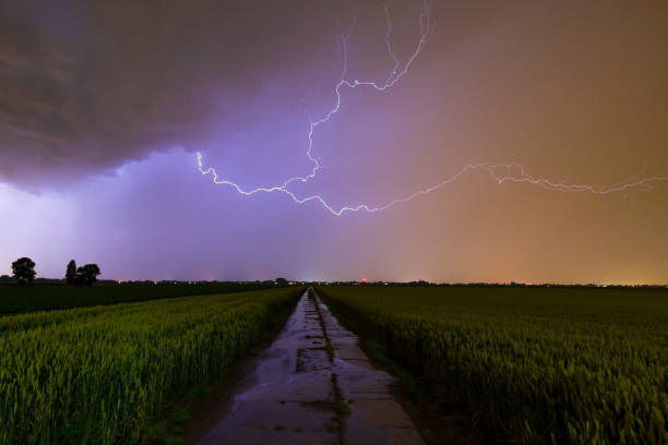 Lightning strikes close by causing a purple color in the clouded sky above farmland