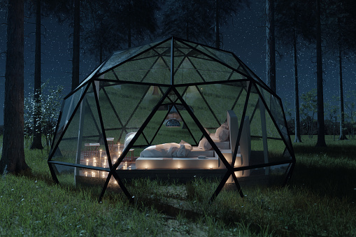 3D rendering of geodesic dome hut with glass panels in front of pine trees at night