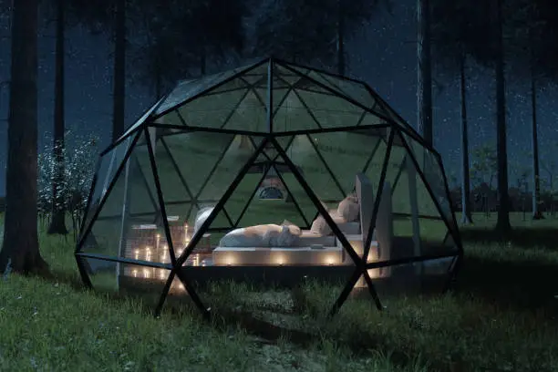 Photo of 3D rendering of geodesic dome hut with glass panels in front of pine trees at night