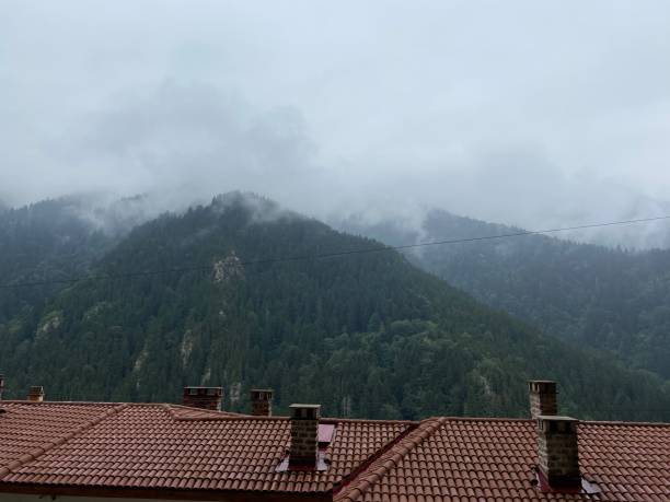 istock Misty Mountains and Forests 1420316138
