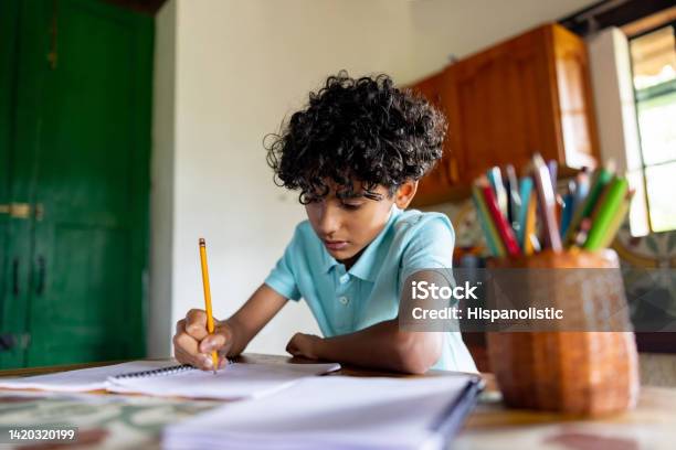 Boy Studying At Home And Doing His Homework Stock Photo - Download Image Now - Child, Homework, Writing - Activity