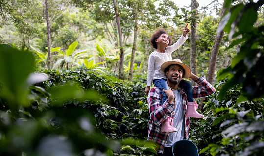 Happy Colombian coffee farmer carrying his daughter around the farm while checking the crop
