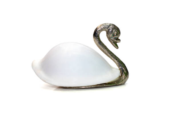 Image of swan sculpture with white shells(Ovula ovum) as part of its body. isolated on white background. Home decoration. Image of swan sculpture with white shells(Ovula ovum) as part of its body. isolated on white background. Home decoration. ovula stock pictures, royalty-free photos & images