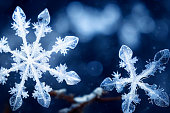 Beautiful snow flake crystal with snow background