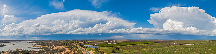 Panoramic view two developing severe storm thunderheads (cumulonimbus), billowing storm clouds forming over Riverland: exploding upward, majestic power, threatening, anvil, River Murray floodplain