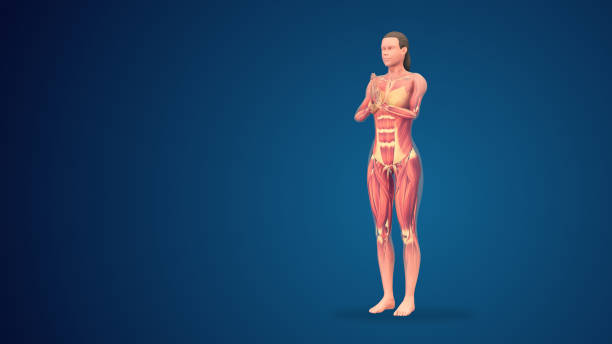 3D human tadasana praying yoga pose on blue background
