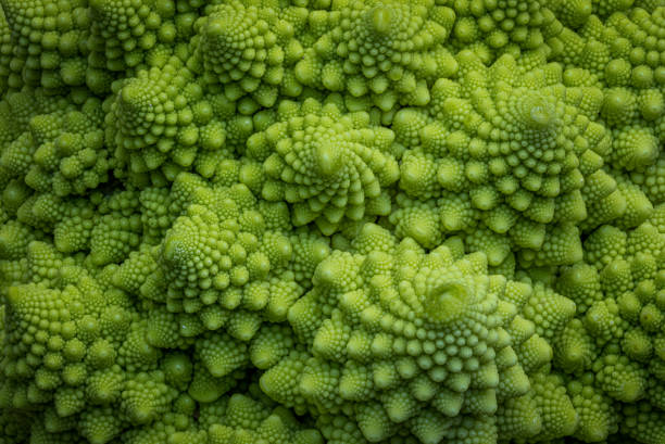 romaneco цветная капуста - romanesco broccoli стоковые фото и изображения