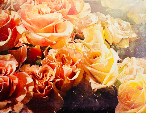 My original closeup photo of a beautiful bouquet of pink and yellow roses has been transformed using the Mextures app to give a vintage retro feel to the image.