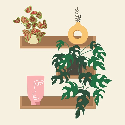 Wall shelf with various plants, vases and decorations. Interior elements. Flat design, cartoon hand drawn, vector.