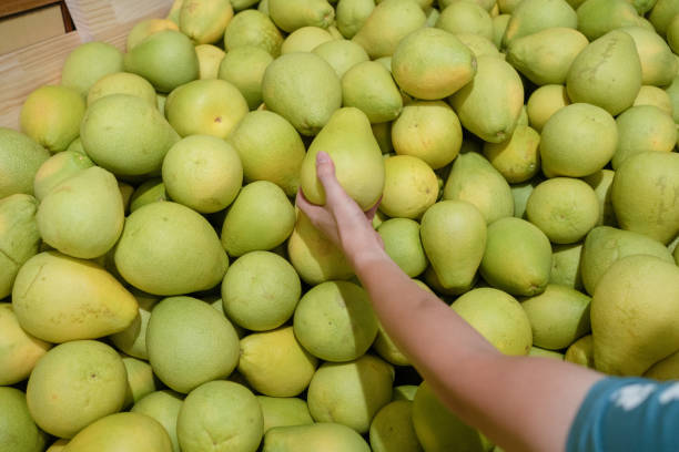 istock Harvest a lot of pomelos 1420392592