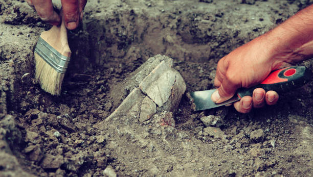istock Archaeological excavations, archaeologists work, dig up an ancient clay artifact with special tools 1420392866